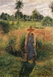 Der Gärtner